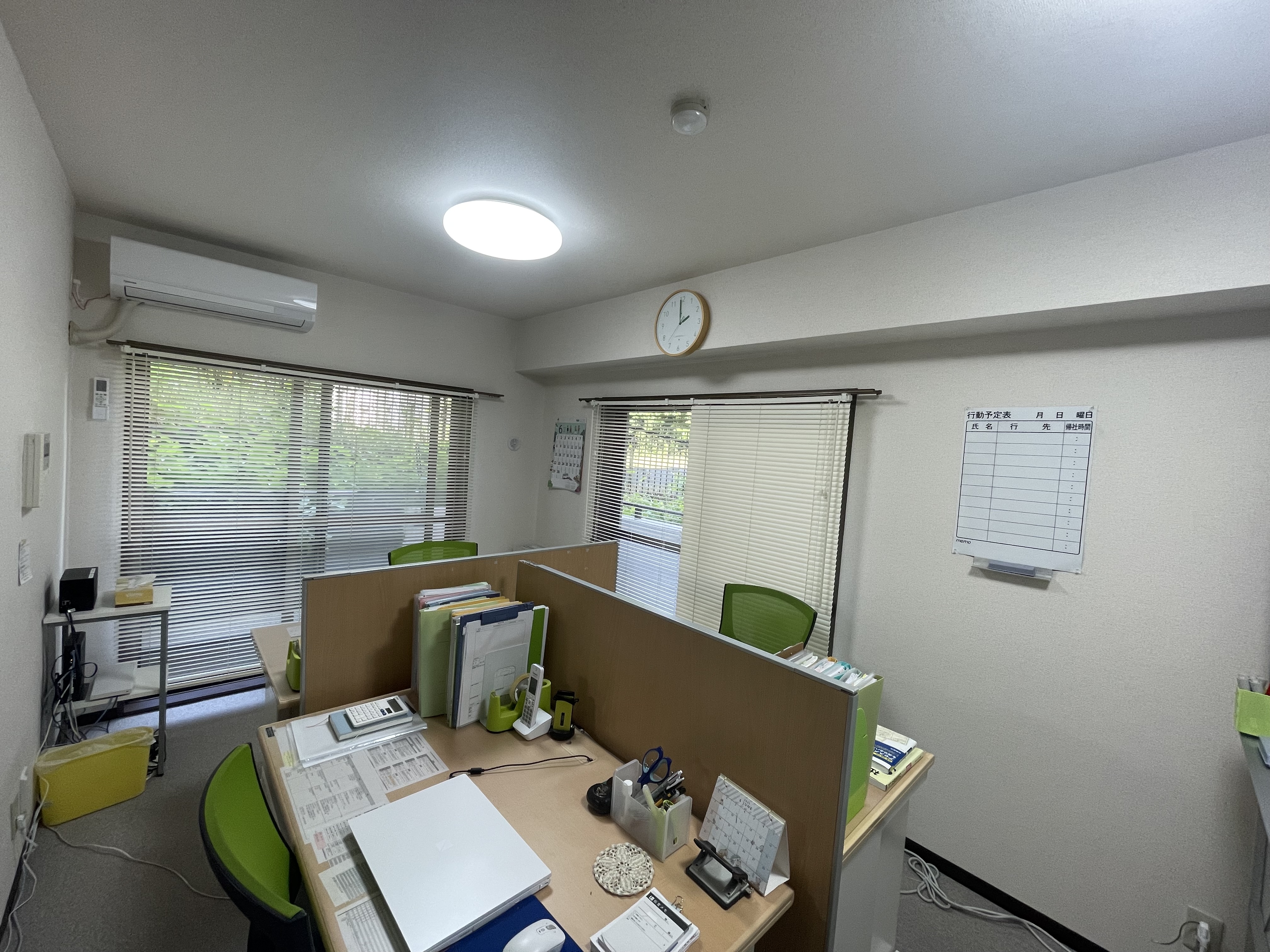 ひまわり 写真3